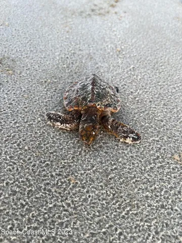 $3,950,000 | 1009 Hill Street, New Smyrna Beach, FL 32169