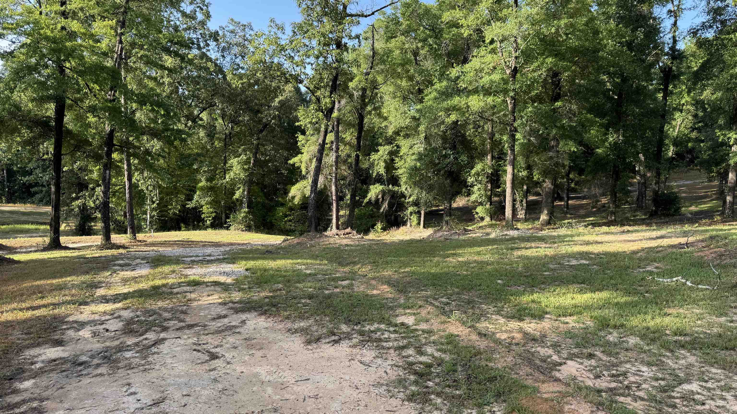 1050 Cedar Creek Landing Road Mount Vernon, AL 36560 - Photo 29 of 59 Yard
