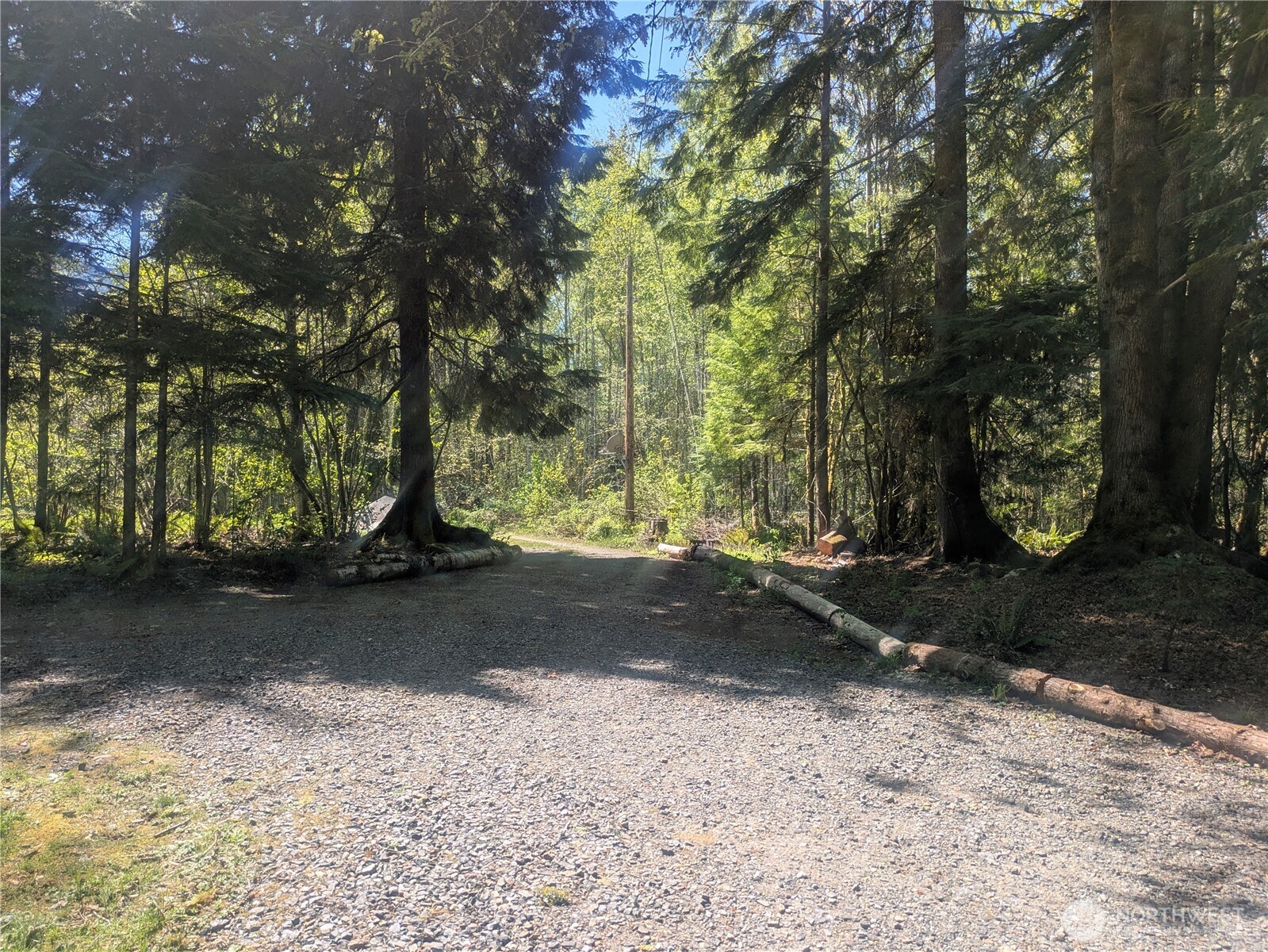 60099 State Rte 20 Marblemount, WA 98267 - Photo 15 of 24