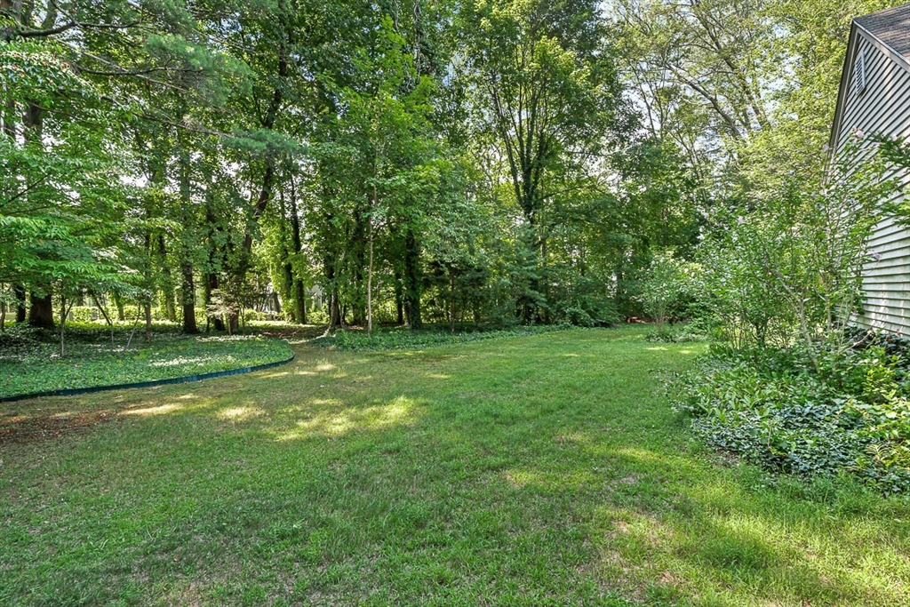 53 Elmwood Road Wellesley, MA 02481 - Photo 7 of 18 Gallery Image 7