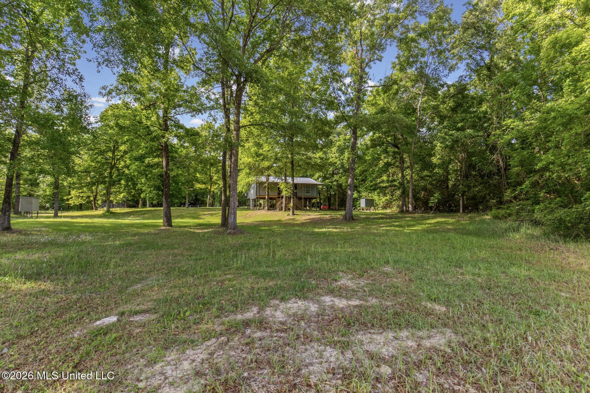 143 Ralph's Drive Leakesville, MS 39451 - Photo 7 of 43 Yard