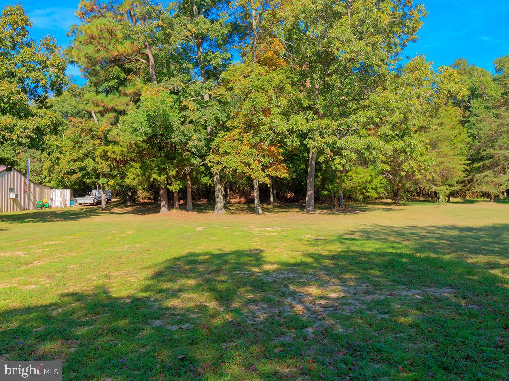 26571 Broadkill Road Milton, DE 19968 - Photo 23 of 23 Back yard