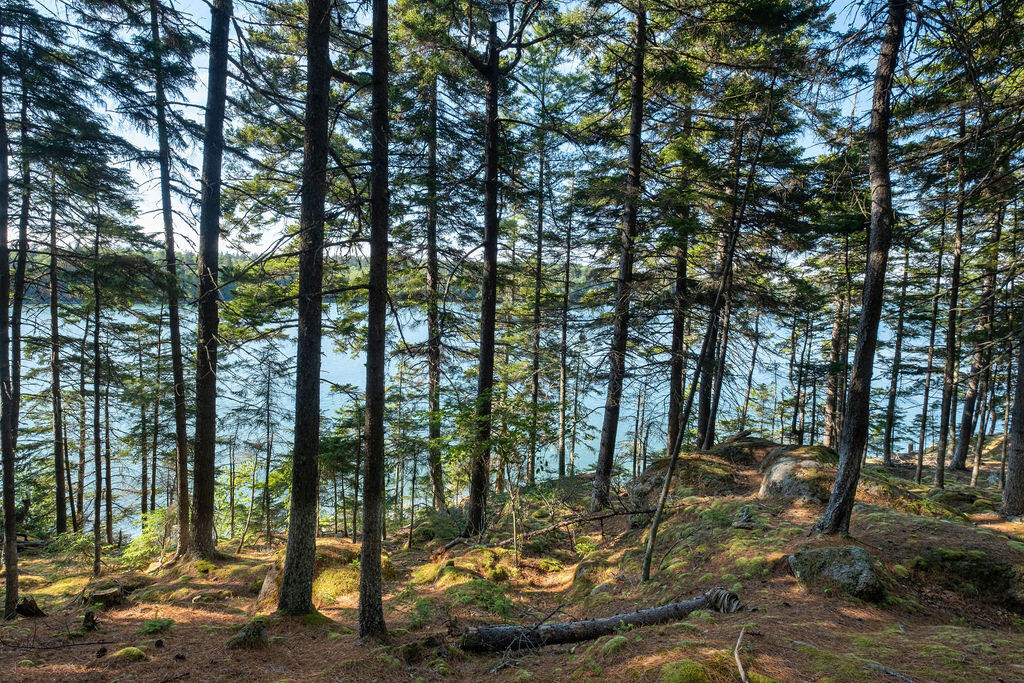 0 Inner Hbr Road Stonington, ME 04681 - Photo 25 of 50 InnerHarborcamp-25