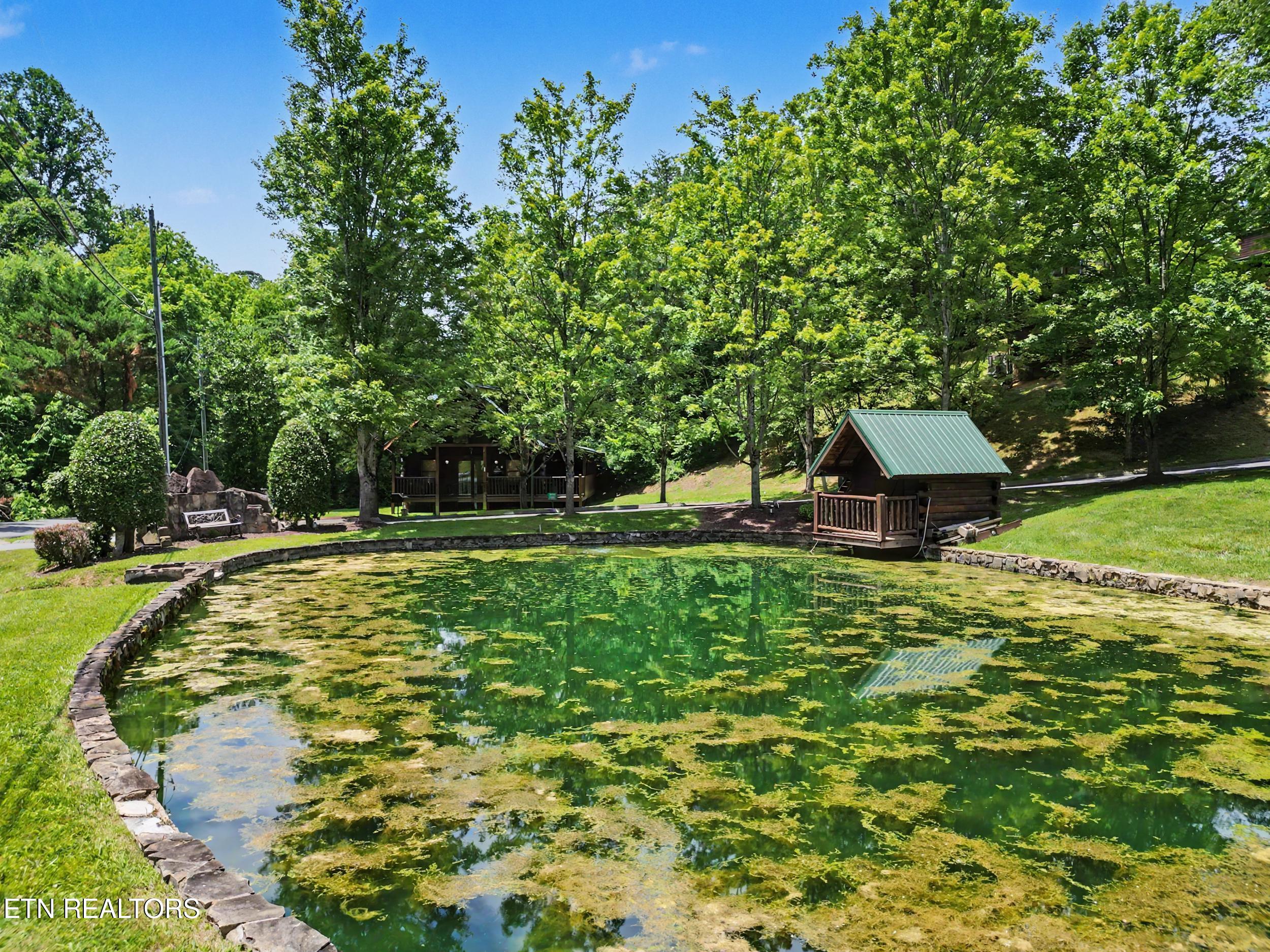 1629 Little Cabin Loop Pigeon Forge, TN 37862 - Photo 53 of 59 53_dji_0110.png