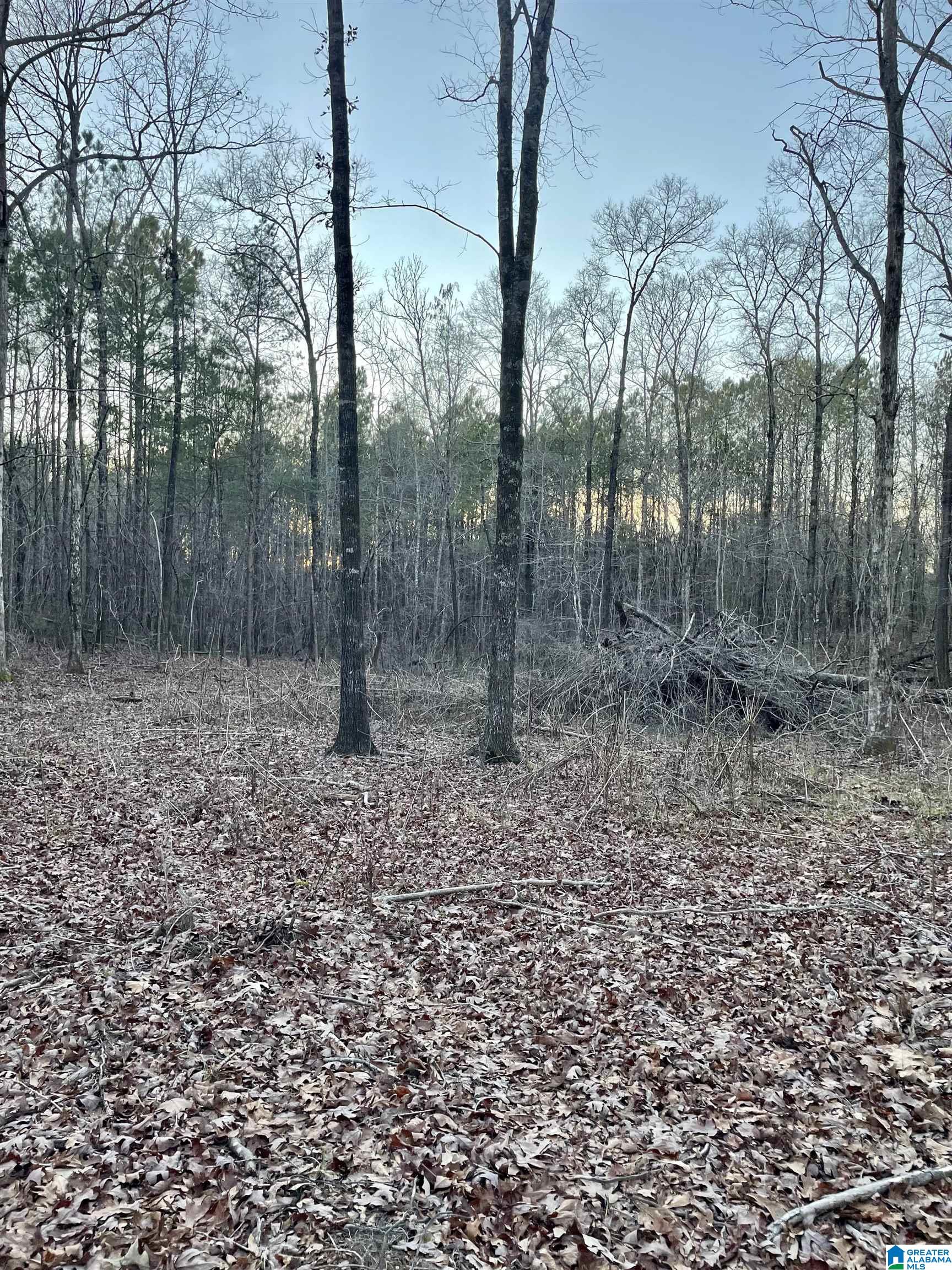 0 Ronbar Road Columbiana, AL 35051 - Photo 2 of 6