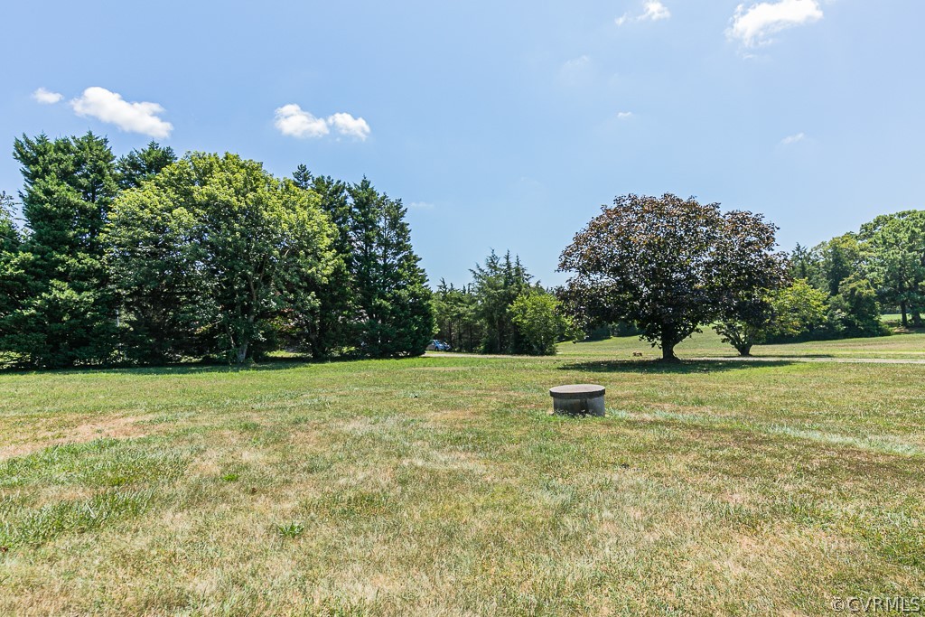 12152 Pinhook Road Rockville, VA 23146 - Photo 35 of 44 View of Rear Yard