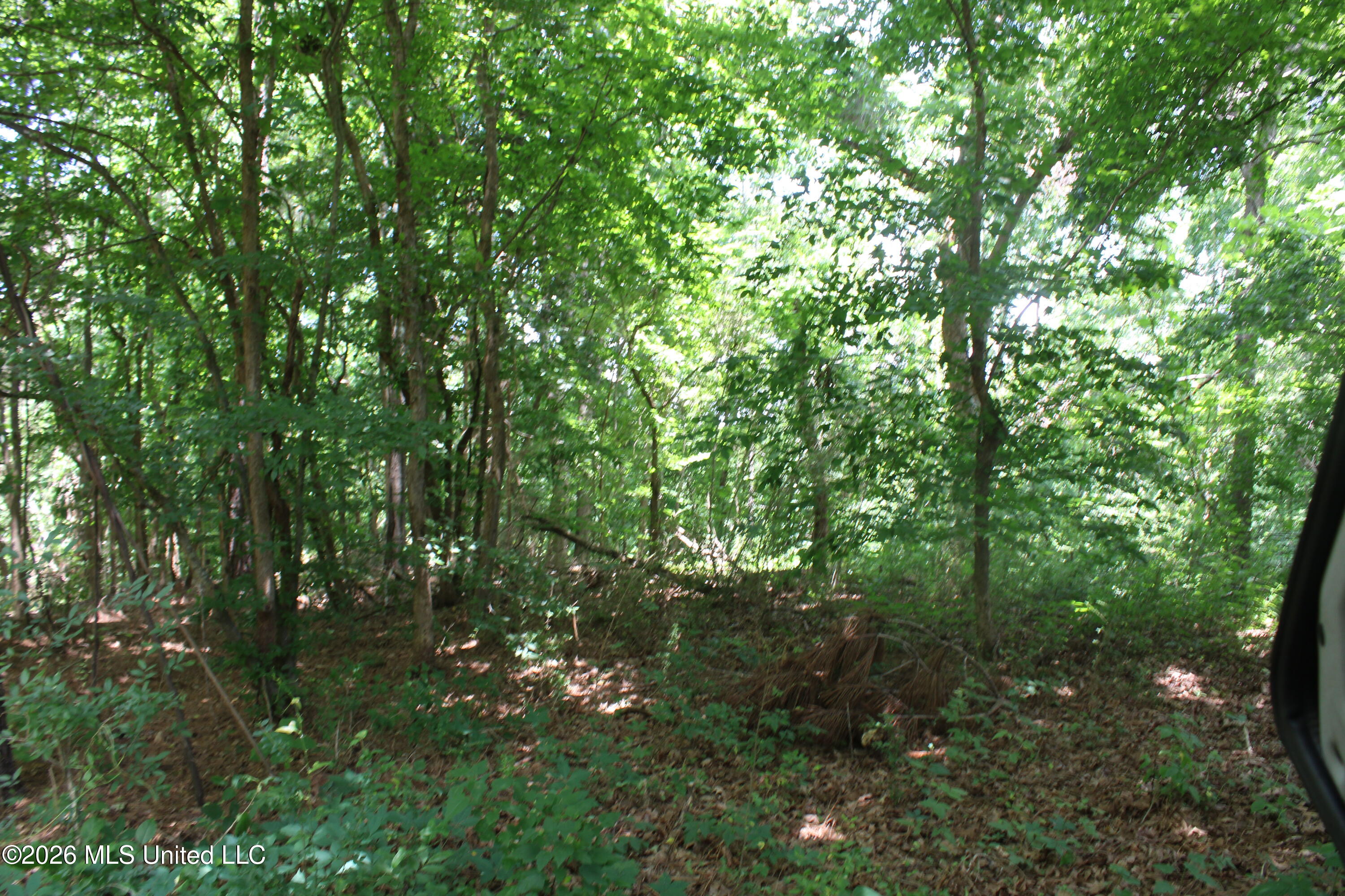 0 Scruggs Road Holly Springs, MS 38635 - Photo 17 of 25 IMG_7877