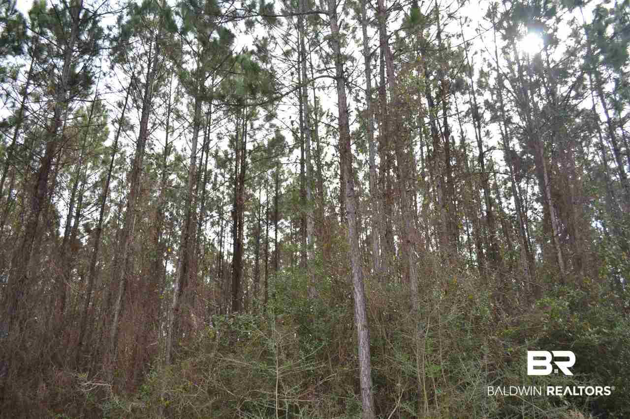 0 Mohr Lane Elberta, AL 36530 - Photo 13 of 15