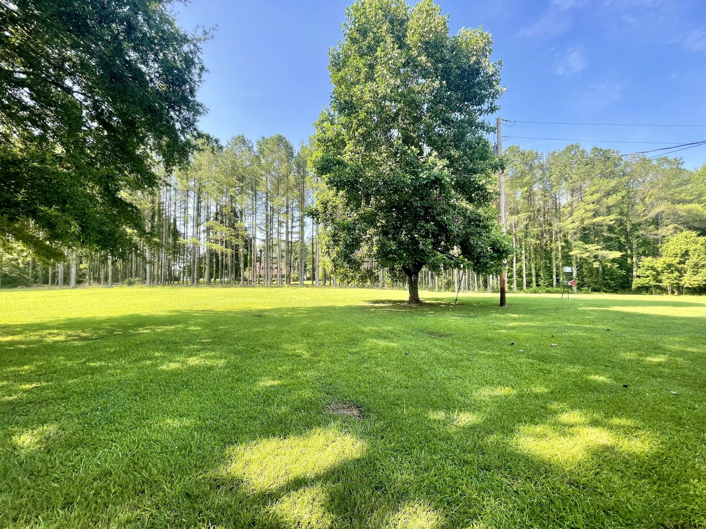 50040 South Harmony Road Amory, MS 38821 - Photo 13 of 33 Gallery Image 13