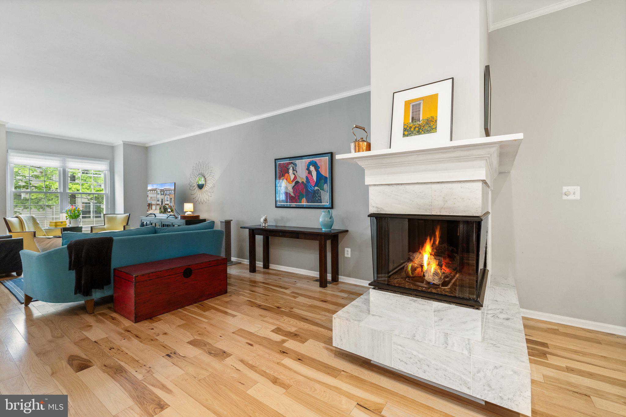 20546 Fairchild Terrace Sterling, VA 20165 - Photo 18 of 66 Living Room with Fireplace