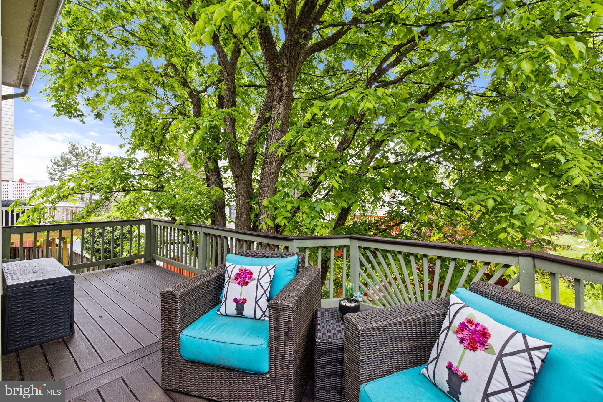 20546 Fairchild Terrace Sterling, VA 20165 - Photo 33 of 66 Trex Deck off Sunroom with Shade Tree