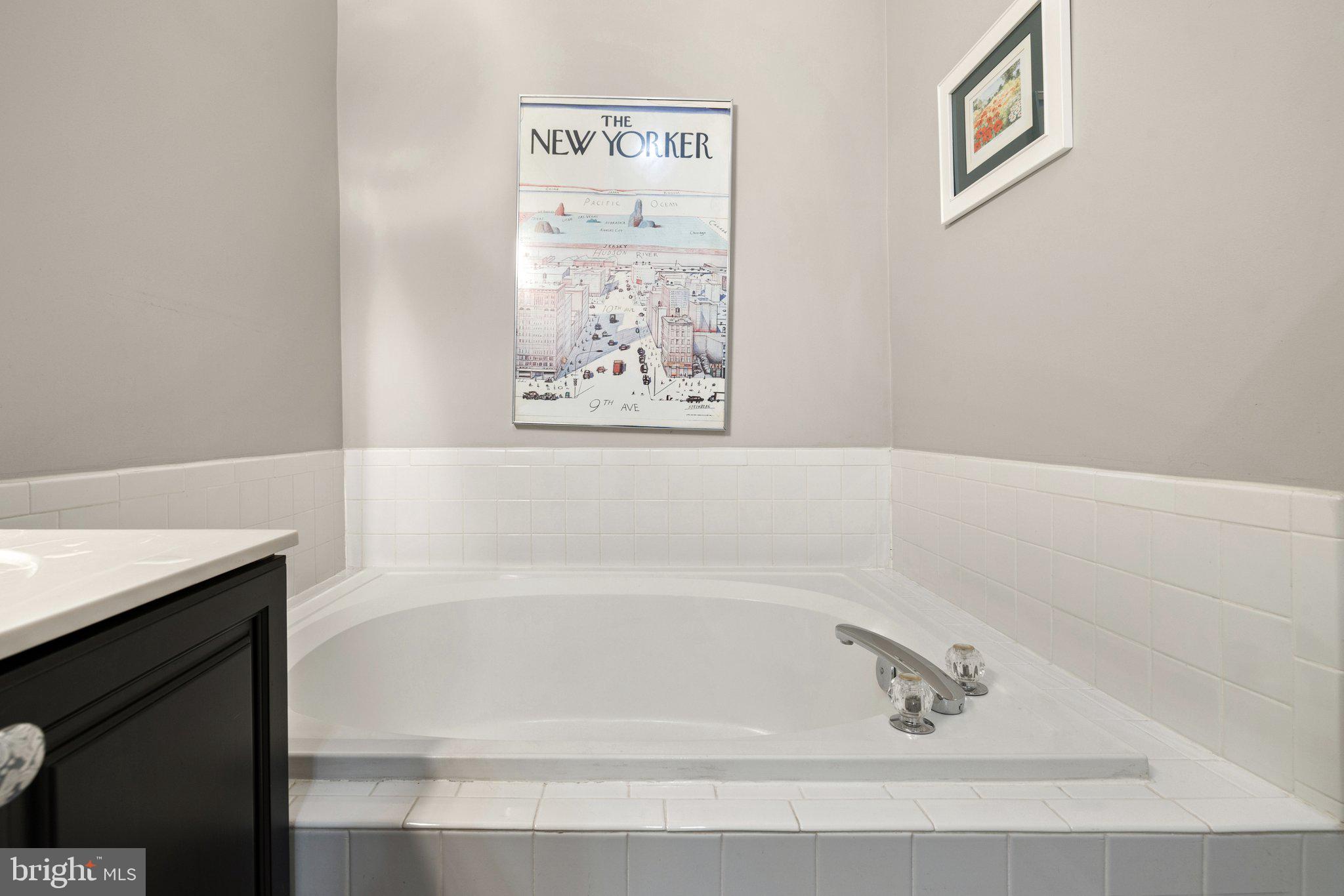 20546 Fairchild Terrace Sterling, VA 20165 - Photo 41 of 66 Owner Suite Soaking Tub