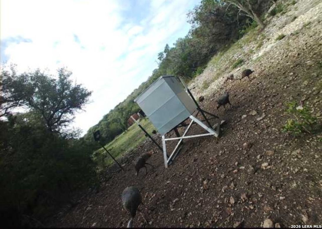 46071 SD 46071 Rocksprings, TX 78880 - Photo 11 of 70 a backyard of a house with table and chairs