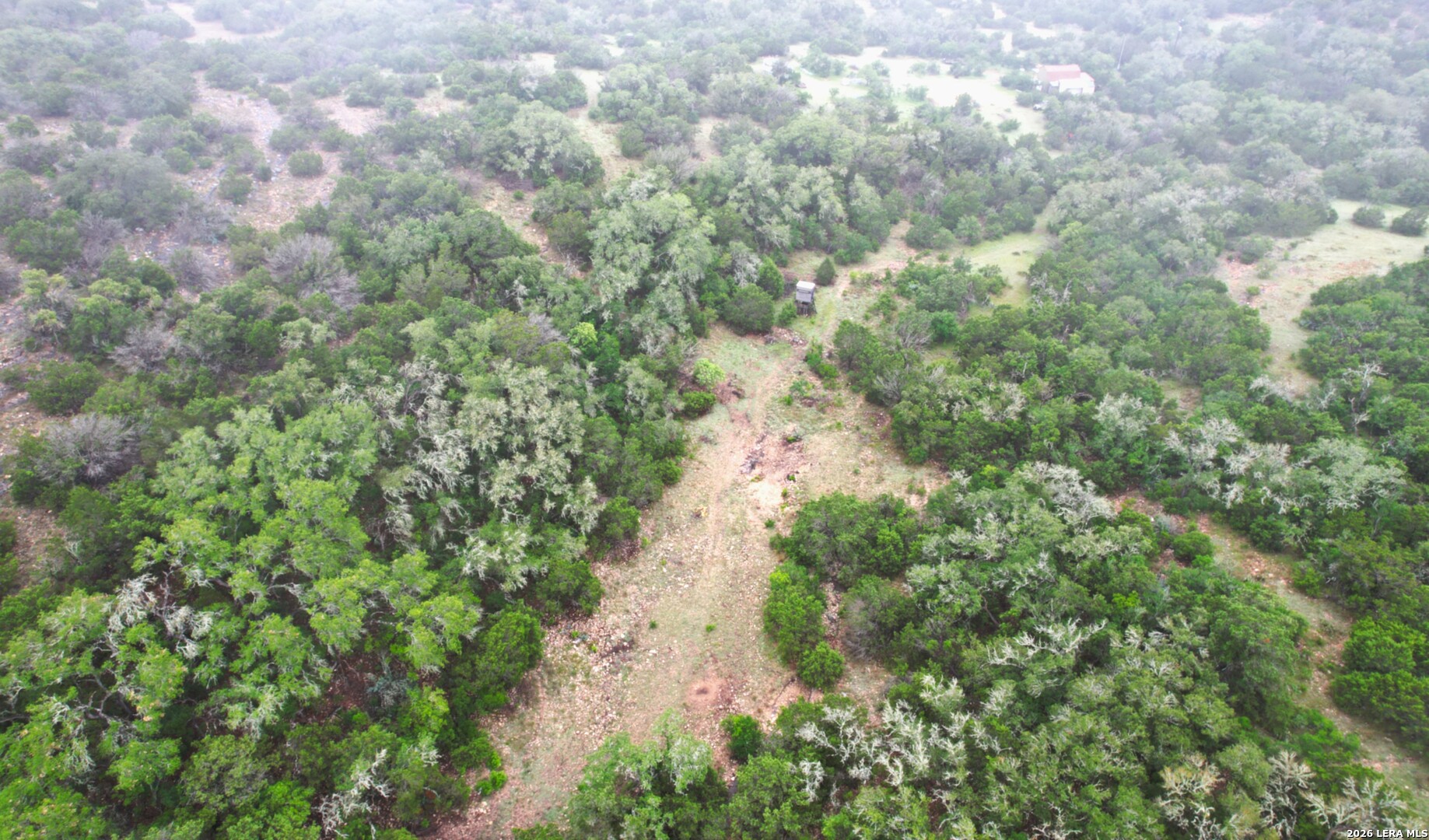 46071 SD 46071 Rocksprings, TX 78880 - Photo 22 of 70 a view of a forest with houses