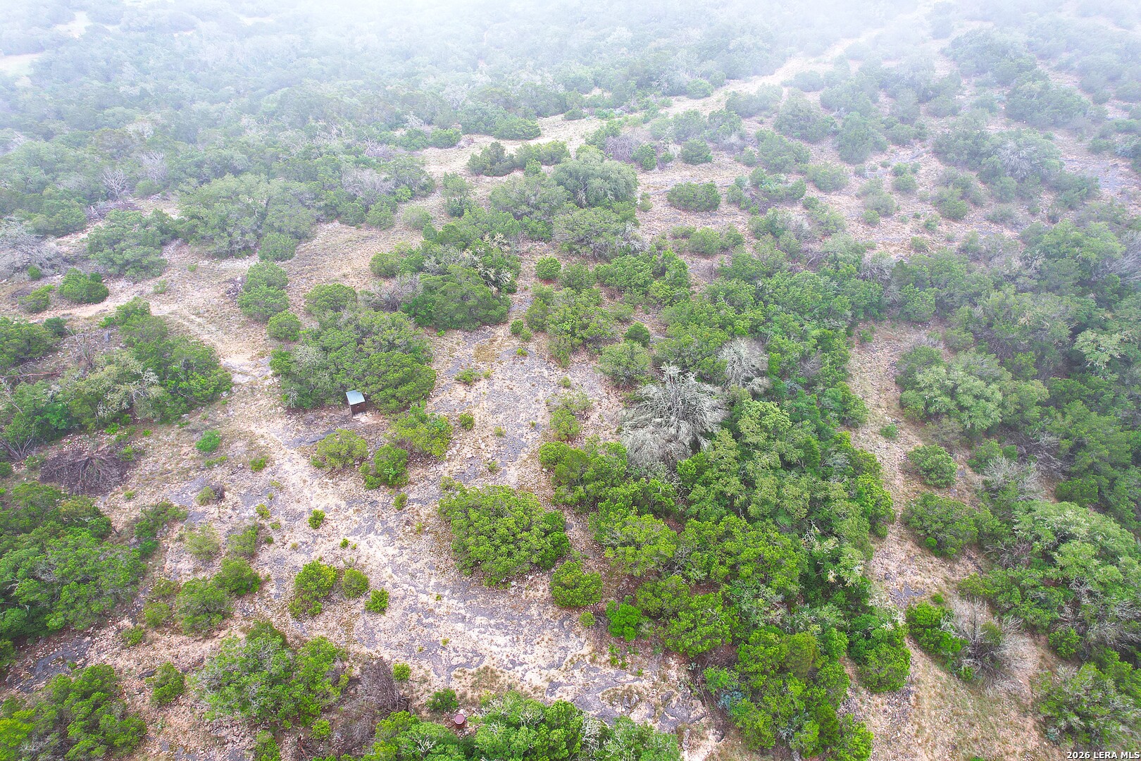 46071 SD 46071 Rocksprings, TX 78880 - Photo 24 of 70 a view of a bunch of trees and bushes