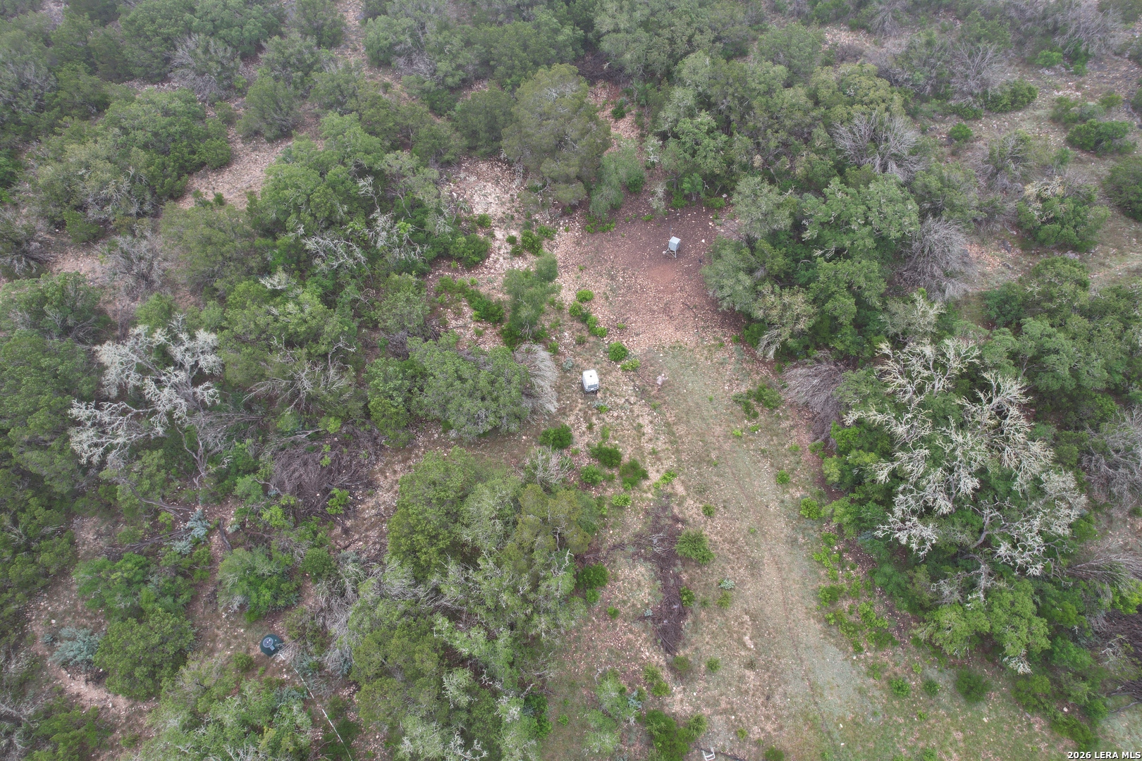 46071 SD 46071 Rocksprings, TX 78880 - Photo 27 of 70 a view of a forest with lush green forest