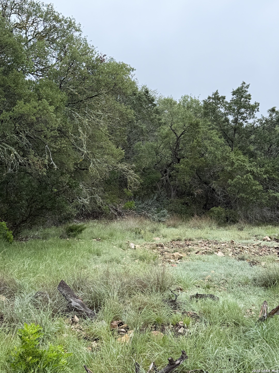 46071 SD 46071 Rocksprings, TX 78880 - Photo 47 of 70 a view of a yard with a tree