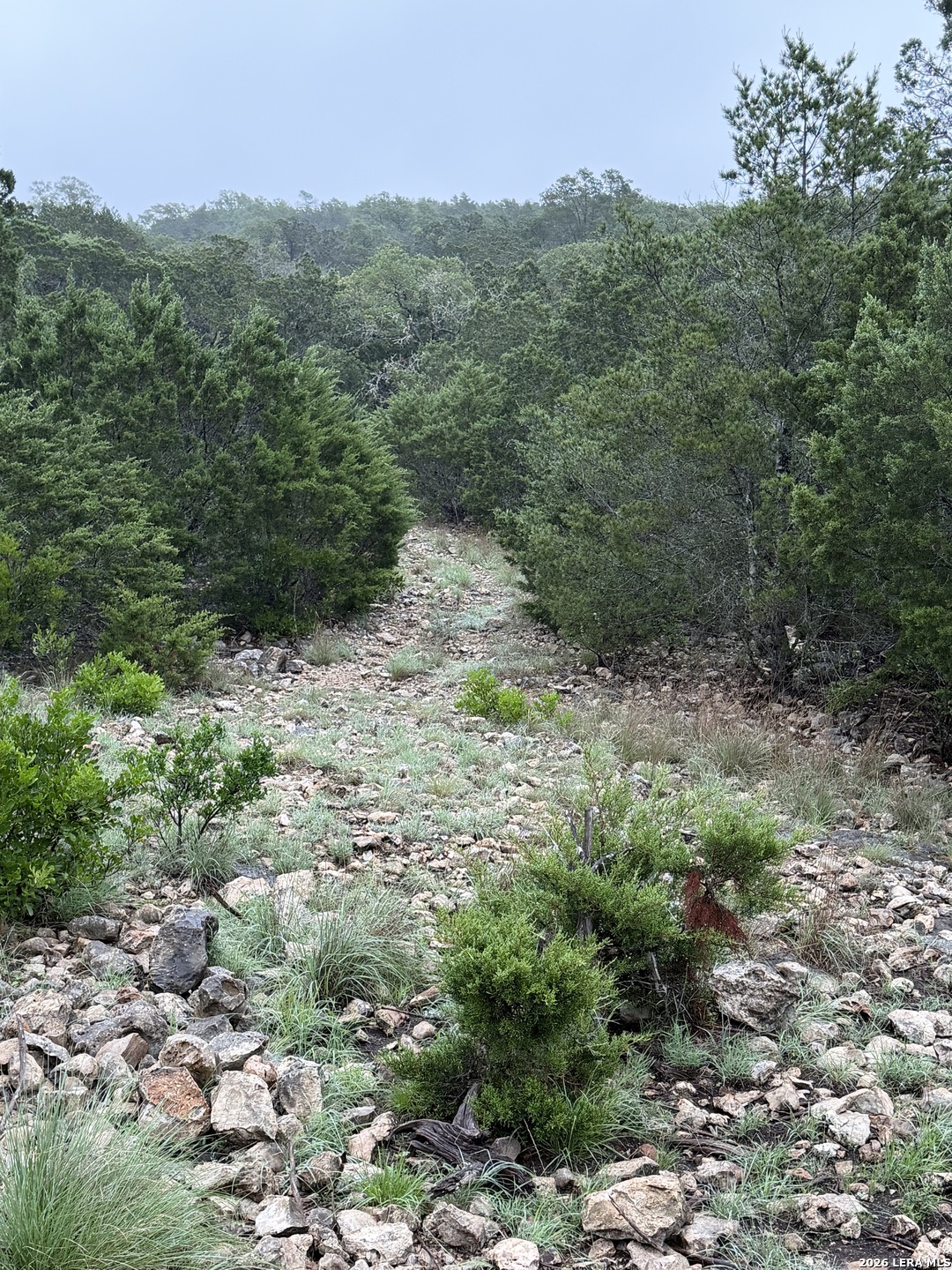 46071 SD 46071 Rocksprings, TX 78880 - Photo 54 of 70