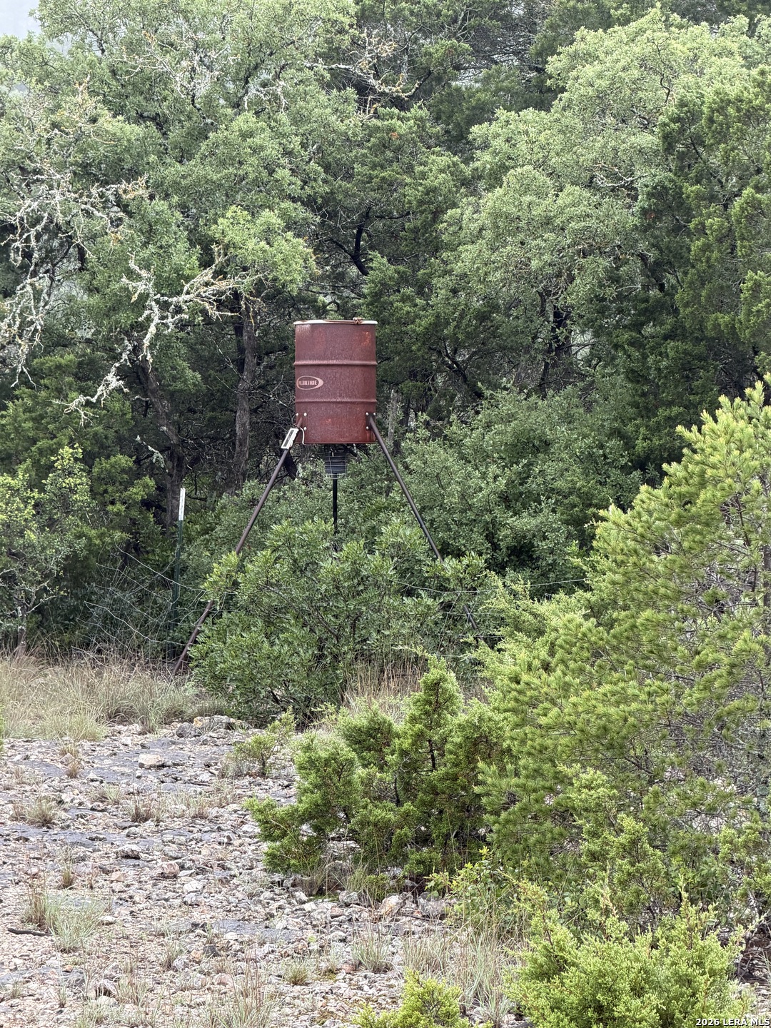 46071 SD 46071 Rocksprings, TX 78880 - Photo 55 of 70 a view of a forest that has a tree