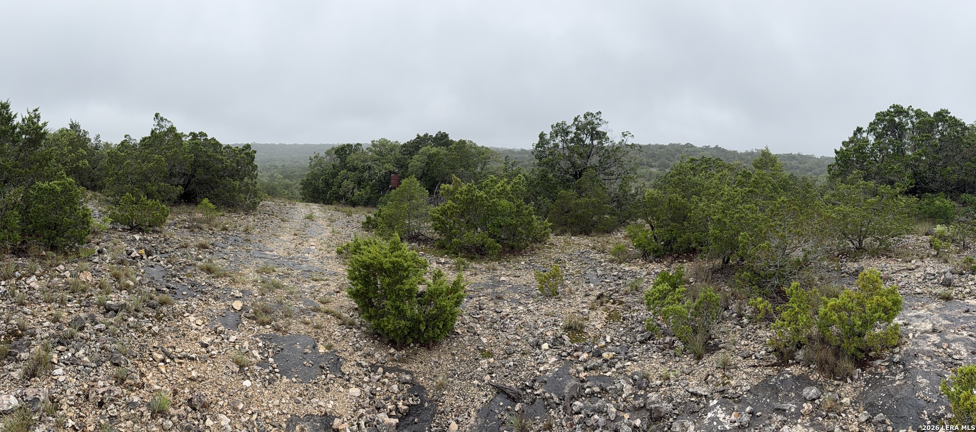 46071 SD 46071 Rocksprings, TX 78880 - Photo 59 of 70 a big yard with lots of green space and deers
