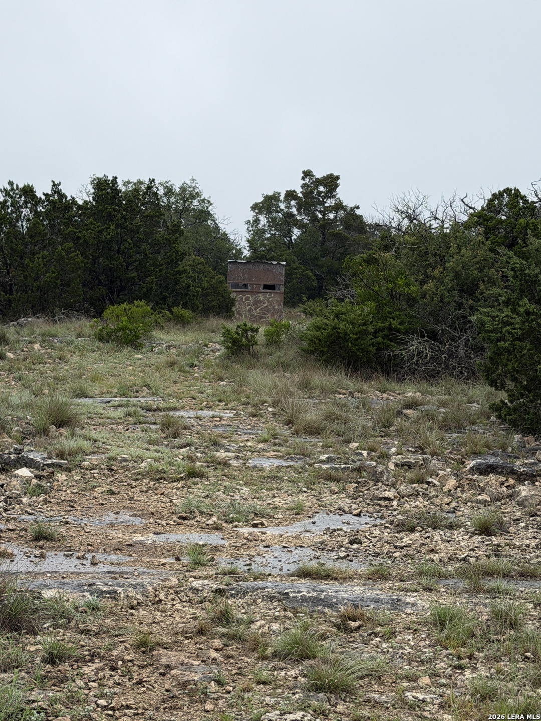 46071 SD 46071 Rocksprings, TX 78880 - Photo 62 of 70
