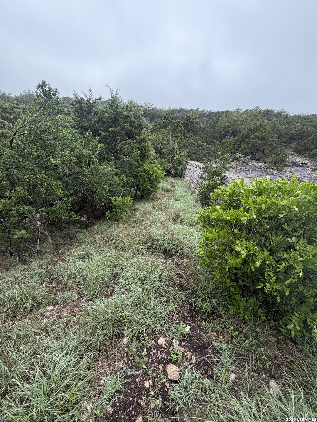 46071 SD 46071 Rocksprings, TX 78880 - Photo 64 of 70 a view of a forest with a tree