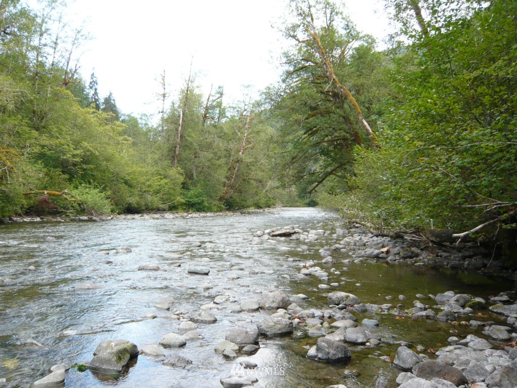 0 Forest Service Road Brinnon, WA 98320 - Photo 1 of 11 Gallery Image 1