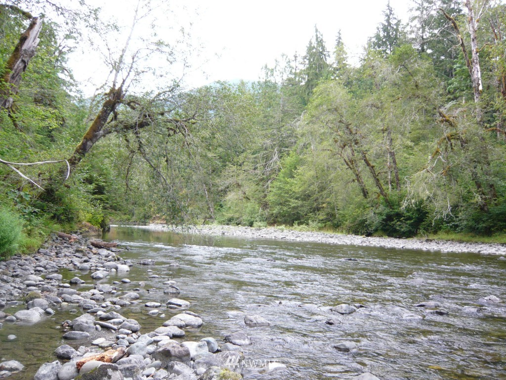 0 Forest Service Road Brinnon, WA 98320 - Photo 2 of 11 Gallery Image 2