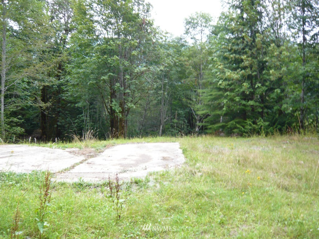 0 Forest Service Road Brinnon, WA 98320 - Photo 11 of 11 Gallery Image 11