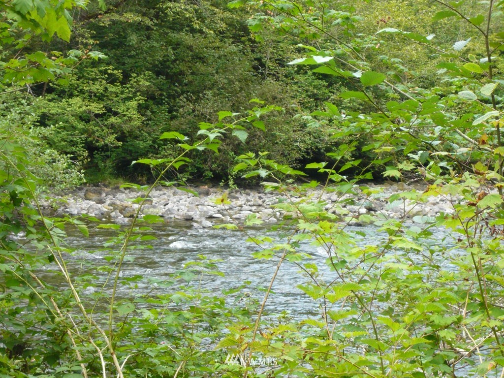 0 Forest Service Road Brinnon, WA 98320 - Photo 3 of 11 Gallery Image 3