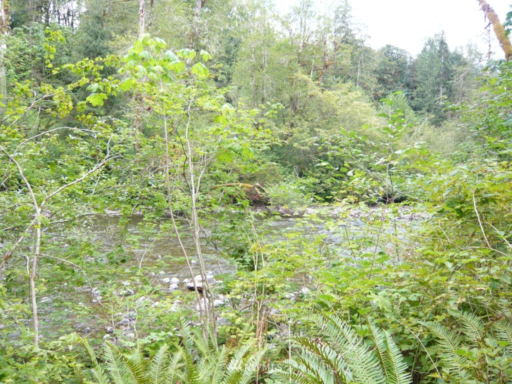 0 Forest Service Road Brinnon, WA 98320 - Photo 4 of 11 Gallery Image 4