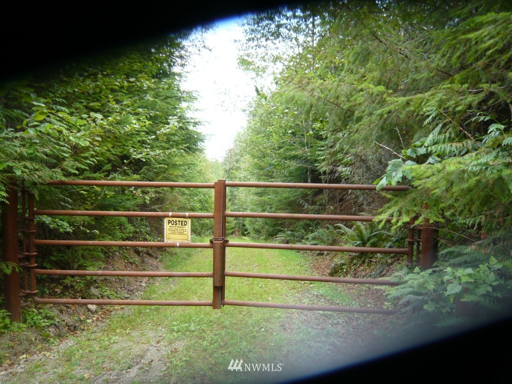 0 Forest Service Road Brinnon, WA 98320 - Photo 5 of 11 Gallery Image 5