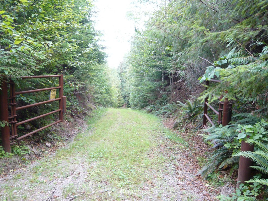 0 Forest Service Road Brinnon, WA 98320 - Photo 6 of 11 Gallery Image 6