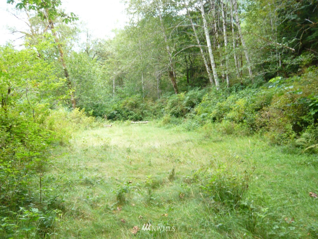 0 Forest Service Road Brinnon, WA 98320 - Photo 7 of 11 Gallery Image 7