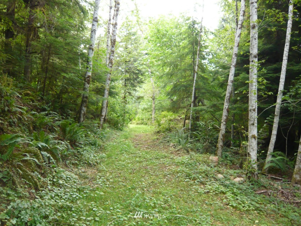 0 Forest Service Road Brinnon, WA 98320 - Photo 8 of 11 Gallery Image 8