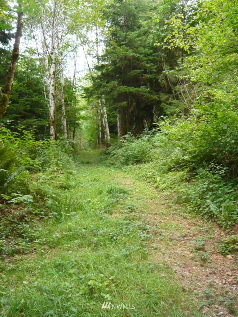 0 Forest Service Road Brinnon, WA 98320 - Photo 9 of 11 Gallery Image 9