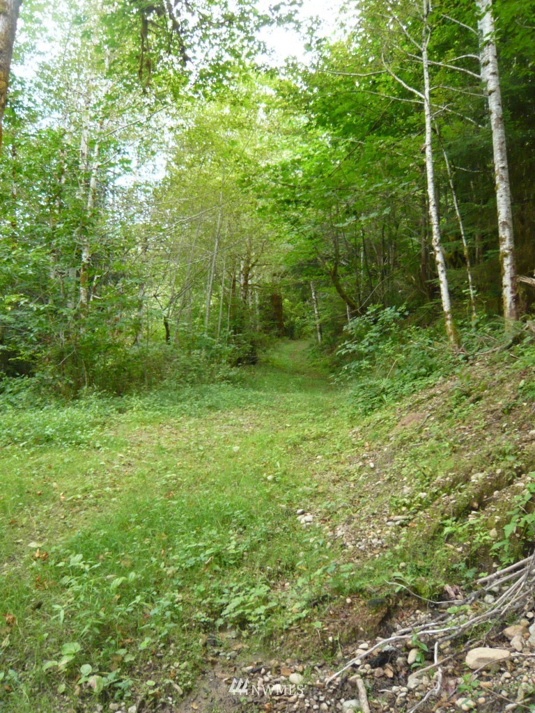 0 Forest Service Road Brinnon, WA 98320 - Photo 10 of 11 Gallery Image 10