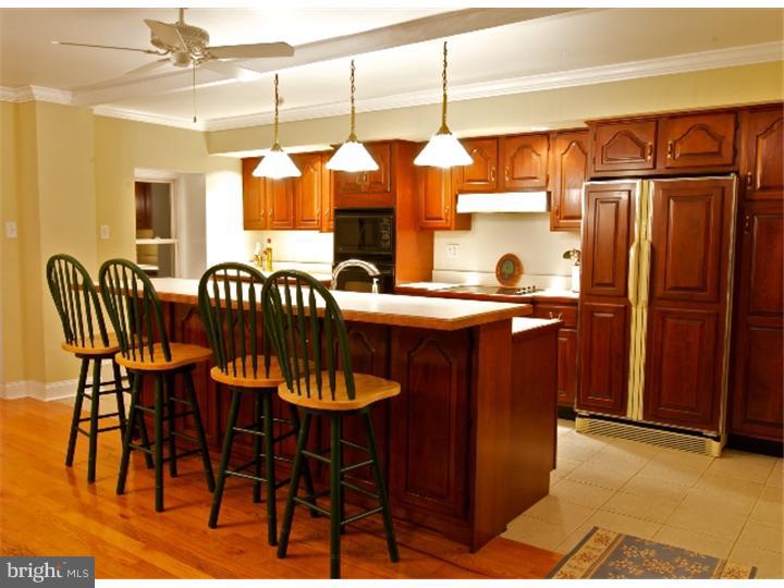 3840 Davisville Road Hatboro, PA 19040 - Photo 4 of 18 Kitchen