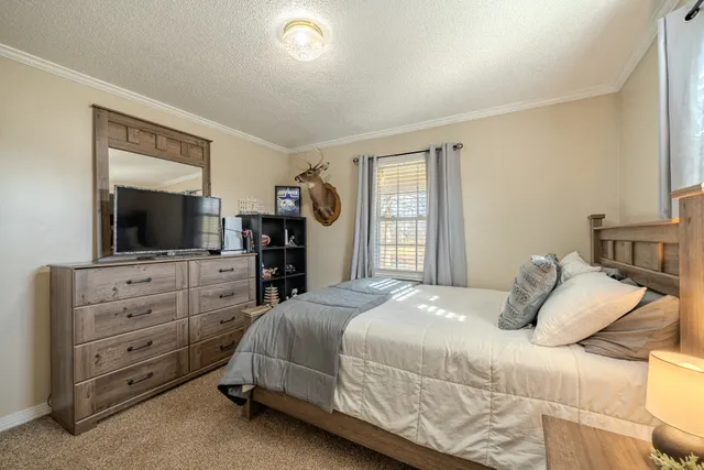 $239,000 | 2098 Spain Road, Cypress Inn, TN 38452