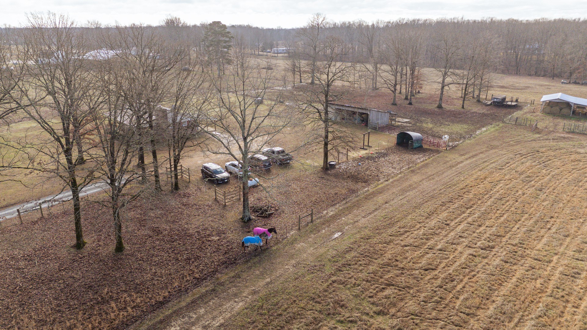 2098 Spain Road Cypress Inn, TN 38452 - Photo 73 of 86