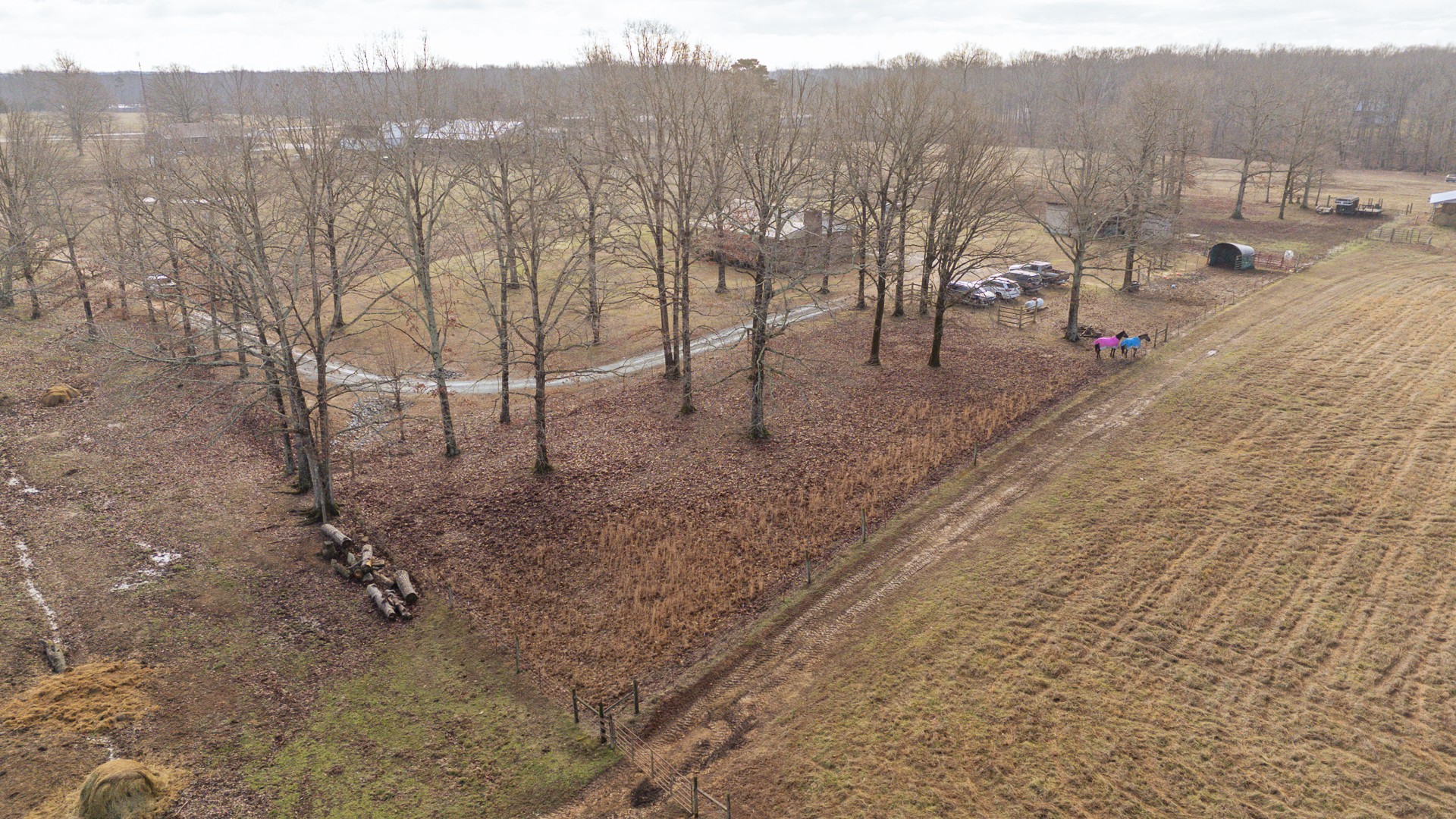 2098 Spain Road Cypress Inn, TN 38452 - Photo 74 of 86