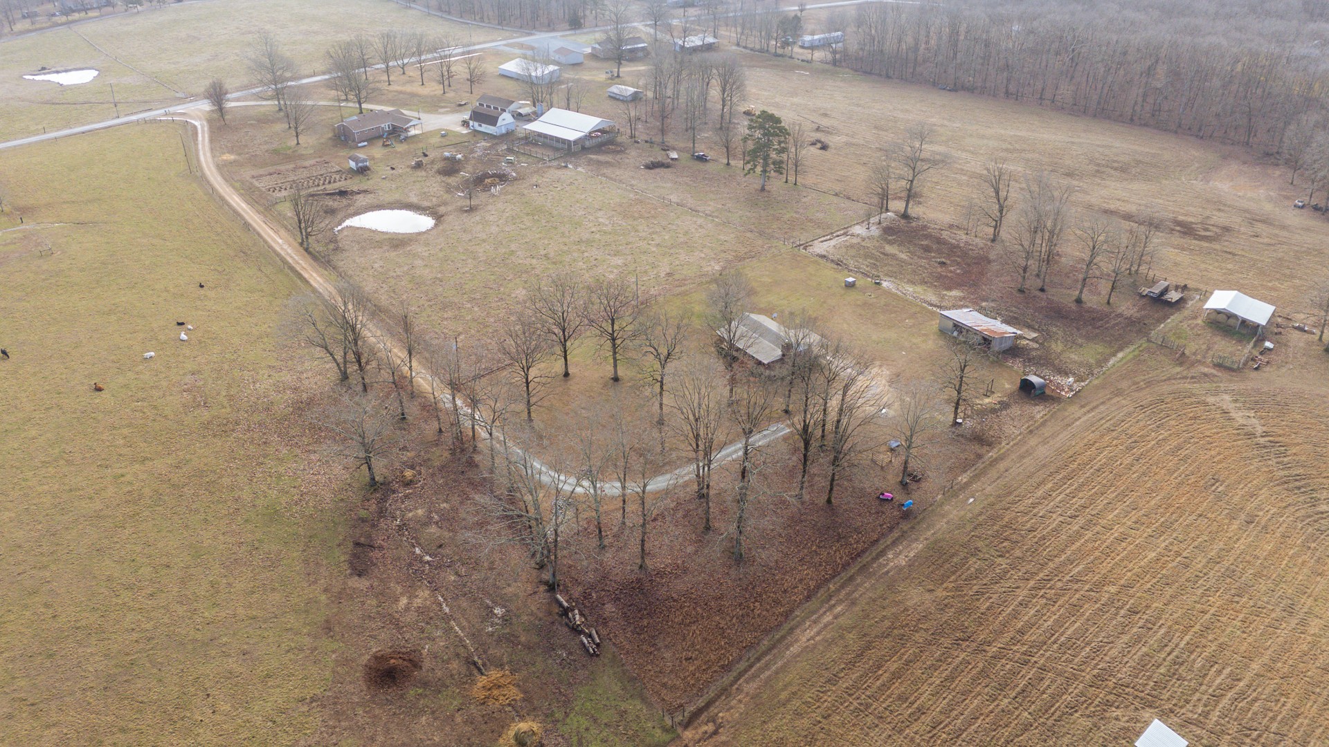 2098 Spain Road Cypress Inn, TN 38452 - Photo 75 of 86