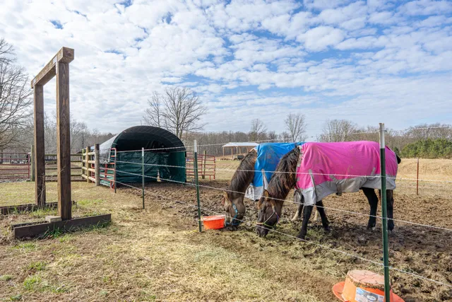 $239,000 | 2098 Spain Road, Cypress Inn, TN 38452