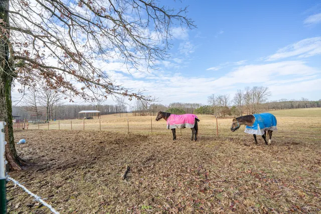 $239,000 | 2098 Spain Road, Cypress Inn, TN 38452