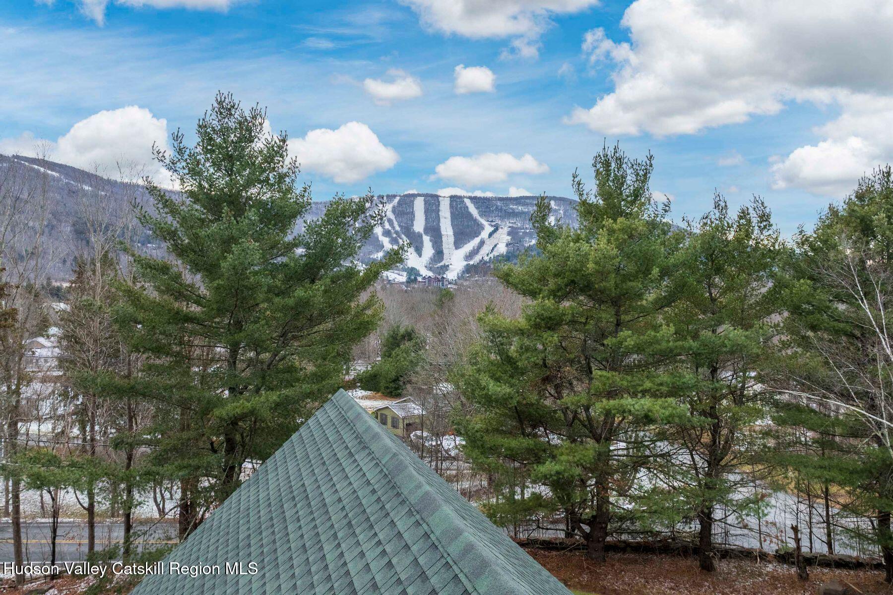 78 Mitchell Hollow Road Windham, NY 12496 - Photo 64 of 64 photo_online_009