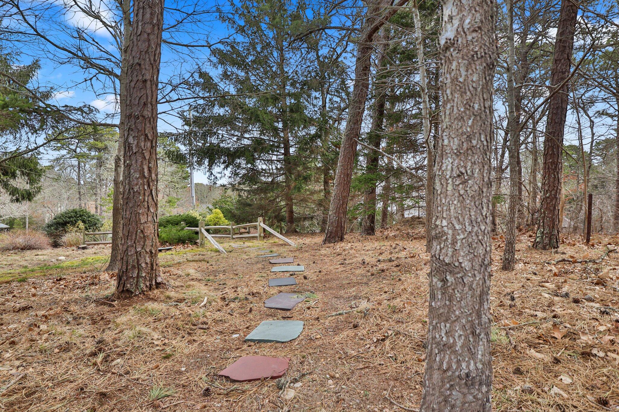 29 Jesse Eldredge Road Harwich, MA 02645 - Photo 52 of 56 a view of a yard with plants and trees