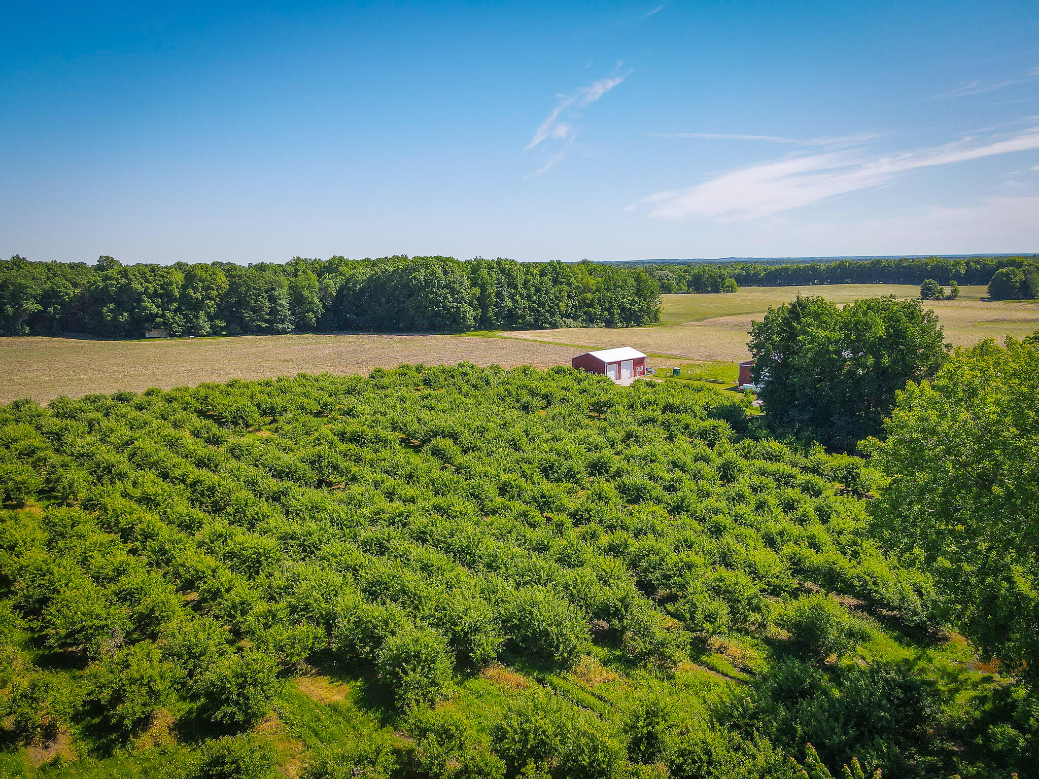 131.43 East Hazel Road Hart, MI 49420 - Photo 31 of 87 DJI_0457