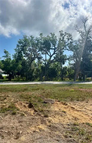 a view of a field with trees