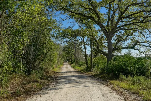 $84,908 | Lot 2 County Road 229, Bedias, TX 77831