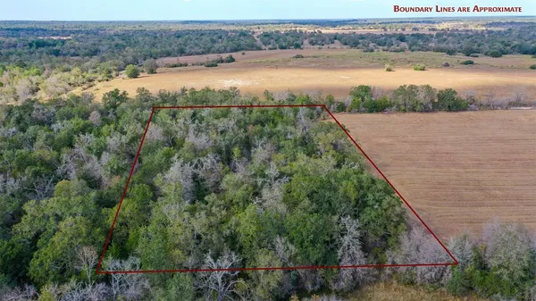 $84,908 | Lot 2 County Road 229, Bedias, TX 77831